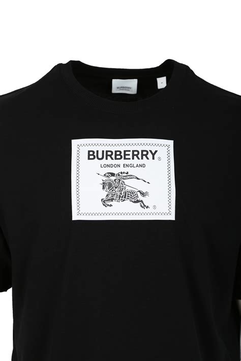 haine burberry barbati|Imbracaminte Burberry pentru Barbati .